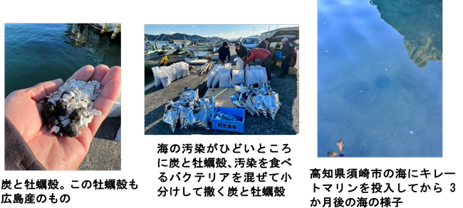炭と牡蠣殻。この牡蠣殻も広島産のもの 海の汚染がひどいところに炭と牡蠣殻、汚染を食べるバクテリアを混ぜて小分けして撒く炭と牡蠣殻 高知県須崎市の海にキレートマリンを投入してから3か月後の海の様子
